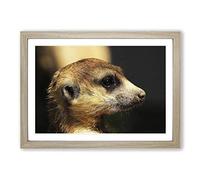 Meerkat Framed Print | A2 Oak Framed Wall Art | Ready to Hang | Modern Animal Picture | Living Room Bedroom Lounge Office