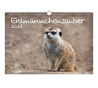 Meerkat Magic KN2023-3W-0026-D-0 DIN A3 Calendar for 2023 Meerkat - Soul Magic, Multi-Colour