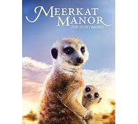 Meerkat Manor: The Story Begins