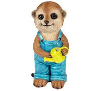Meerkat Ornament Figurine Baby Boy Garden Home Décor Gardening Watering Can Indoor Or Out Frostproof 22cm