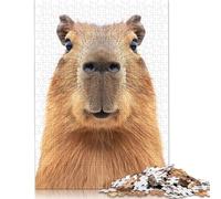 Meerkat Puzzle 500 Piece Adult Jigsaw Puzzle Puzzle for Adults And Teenager Jigsaw Puzzles for Adults Educational Game Challenge Toy 500pcs (52x38cm)