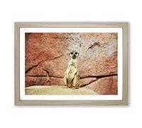 Meerkat Vol.2 Framed Print | A2 Oak Framed Wall Art | Ready to Hang | Modern Animal Picture | Living Room Bedroom Lounge Office