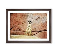 Meerkat Vol.2 Framed Print | A2 Walnut Framed Wall Art | Ready to Hang | Modern Animal Picture | Living Room Bedroom Lounge Office