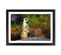 Meerkat Vol.4 Framed Print | A2 Black Framed Wall Art | Ready to Hang | Modern Animal Picture | Living Room Bedroom Lounge Office