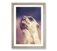 Meerkat Vol.5 Framed Print | A2 Oak Framed Wall Art | Ready to Hang | Modern Animal Picture | Living Room Bedroom Lounge Office