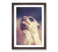 Meerkat Vol.5 Framed Print | A2 Walnut Framed Wall Art | Ready to Hang | Modern Animal Picture | Living Room Bedroom Lounge Office