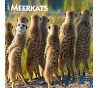 Meerkats | 2025 12 x 24 Inch Monthly Square Wall Calendar | Plastic-Free | BrownTrout | Wildlife Animals