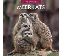 Meerkats- 2026 Square Wall Calendar - by Red Robin Publishing