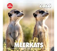 Meerkats 2026 Wall Calendar: A year of sunlit lookouts and social behavior in the wild