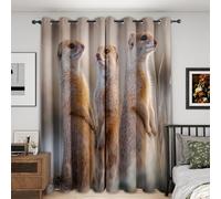 Meerkats Blackout Curtains Bedroom 46 x 90, Cute Animal Curtains for Home Decor, Living Room, Thermal Eyelet Patterned Window Drapes, 90 Inch Drop 2 Panels BD269