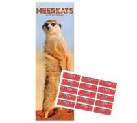 Meerkats Calendar 2026 Slimline Calendar with FREE Organisational Stickers