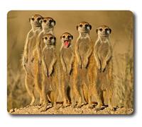 Meerkats Crowd Set On Danger UCFO Customized Mouse Pad Rectangle Mouse Pad Gaming Mouse mat in 240mm*200mm*3mm NE07101299 by oblong shaped mouse pad