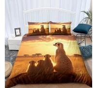 Meerkats Duvet Cover King Size Meerkat Bedding Quilt Cover 3 Pcs, 3D Boy Girl Print Reversible Bedding Set Ultra Soft Brushed Microfiber Bed Set Bedroom Decor, 2 Pillowcases 1577e