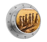 Meerkats on The Grassland Mechanical Kitchen Timer 60 Minute Wind Up Countdown Clock with Magnetic Back Loud Alarm Stainless Steel Manual Timer for Cooking Baking Classroom Home Gym