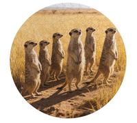 Meerkats on The Grassland Personalized Jigsaw Puzzles, 195Pcs Custom Wooden Jigsaw Puzzle Round Puzzle Gift Adult