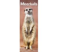 Meerkats Slim