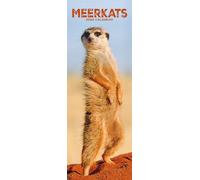 Meerkats Slim 2026 Calendar | Slimline Wall Calendar | Animal Gift | Plastic Free Packaging | by Avonside Publishing