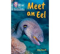 Meet an Eel: Phase 3 Set 1 Blending practice (Big Cat Phonics for Little Wandle Letters and Sounds Revised - Age 7+)