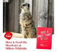 Meet and Feed the Meerkats for Two at Millets Falconry Centre | Meet and feed the meerkats for two at Millets Falconry Centre, first hand encounter, animal experience day gift for couples