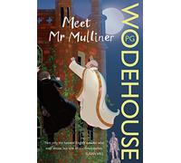 Meet Mr Mulliner