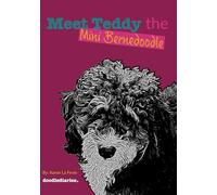 Meet Teddy the Mini Bernedoodle (doodlediaries)
