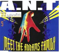 Meet the Addams family [Single-CD]