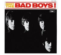 MEET THE BAD BOYS