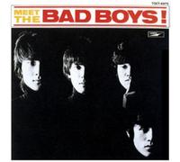 Meet The Bad Boys +4