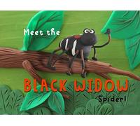 Meet the Black Widow Spider!: Crazy Nature!