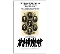 Meet Your Strawman: And Whatever You Want To Know: Written by David E. Robinson, 2013 Edition, Publisher: CreateSpace Independent Publishing [Paperback]