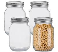 MEETOZ 4 Pack Glass Mason Jars,500ml Clear Glass Jars,with Silver Metal Lids,Overnight Oats, Candies, Honeys, Snacks, Food Storage, Canned Foods, DIY Projects