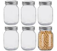MEETOZ 6 Pack Glass Mason Jars,500ml Clear Glass Jars,with Silver Metal Lids,Overnight Oats, Candies, Honeys, Snacks, Food Storage, Canned Foods, DIY Projects