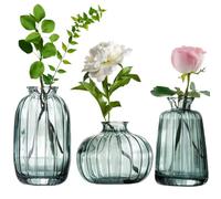 MEETOZ Glass Bud Vase Set of 3- Small Vases for Flowers, Home Table Flower Decor, for Office or Wedding Events