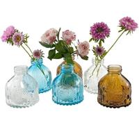 MEETOZ Glass Bud Vases Set of 6,Mini Vintage Bottles,for Home Wedding Party Event Office,Petite Modern Glass Flower Vase Floral Arrangements (Mixed Color)
