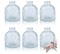 MEETOZ Glass Bud Vases Set of 6,Mini Vintage Bottles,for Home Wedding Party Event Office,Petite Modern Glass Flower Vase Floral Arrangements (Transparent-X)