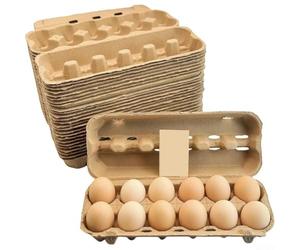 MeevrgR 12 Egg Holder Biodegradable Paper Pulp Carton Shockproof Design Visible Top Cover Snap Closure Standard Size White Kitchen Storage