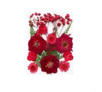 MeevrgR Dried Flowers DIY Material Pack | Natural Colorful Pressed Flowers for Resin Art and Scrapbooking | Perfect for Craft Projects and Creative DIY Designs(red)