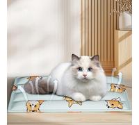 MeevrgR Easily Washable Dog and Cat Cooling Pad Perfect Addition to Your Summer Gear (A 40 * 50cm)