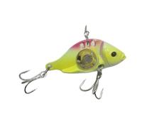 MeevrgR LED Fish Lure 60mm 80mm, Underwater Luminous Light Bait for Freshwater and Saltwater Fishing, VIB Fish Gathering Light with Realistic Design, Pack of 1 A04