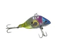 MeevrgR LED Fish Lure 60mm 80mm, Underwater Luminous Light Bait for Freshwater and Saltwater Fishing, VIB Fish Gathering Light with Realistic Design, Pack of 1 A02