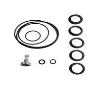 MeevrgR O Rings Seal Gasket Set, For Intex Sand Pump Leak Prevention Tools Accessories, Release Valve Repair Kit set For Pool Maintenance(1 set)