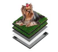 MEEXPAWS Artificial Grass For Dog Litter Tray | Extra Small 44×34cm | 2×Fake Grass For Dogs Replacement| Rapid Drainage | 2 Training Pads | Indoor Dog Potty Litter Box