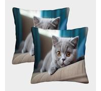 MEFESE 3D Printed British Shorthair Square Pillowcases Blue Cat Square Throw Pillow Garden Cushion Super Soft Pack of 2 for Sofa Couch Bed 40x40cm