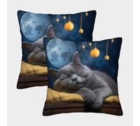 MEFESE 3D Printed British Shorthair Throw Pillow Covers Blue Cat Pillow Case Cushion Garden Cushion Super Soft Pack of 2 for Home Couch Sofa Decorative, Gifts 45x45cm