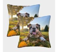 MEFESE 3D Printed Bulldogs Square Pillowcases Cute Bulldog Gifts Pillow Case Cushion Garden Cushion Super Soft Pack of 2 for Sofa Couch Bed 45x45cm
