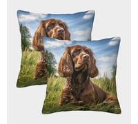 MEFESE 3D Printed Cocker Spaniel Square Pillowcases Hound Square Throw Pillow Decorative Super Soft Pack of 2 Home Decor for Sofa Bedroom 50x50cm