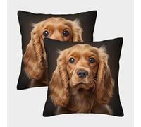 MEFESE 3D Printed Cocker Spaniel Throw Pillow Covers Hound Square Cushion Cover Garden Cushion Super Soft Pack of 2 for Patio,Couch, Tent, Balcony And Sofa 40x40cm