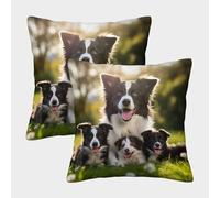 MEFESE 3D Printed Cute Border Collie Dog Square Pillowcases Pillow Case Cushion Decorative Super Soft Pack of 2 for Home Couch Sofa Decorative, Gifts 45x45cm