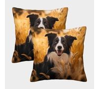 MEFESE 3D Printed Cute Border Collie Dog Throw Pillow Covers Throw Pillow Case Garden Cushion Super Soft Pack of 2 for Sofa Couch Bed 45x45cm