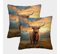 MEFESE 3D Printed Highland Cattle Square Pillowcases Highland Cow Throw Pillow Case Decorative Super Soft Pack of 2 for Patio,Couch, Tent, Balcony And Sofa 45x45cm